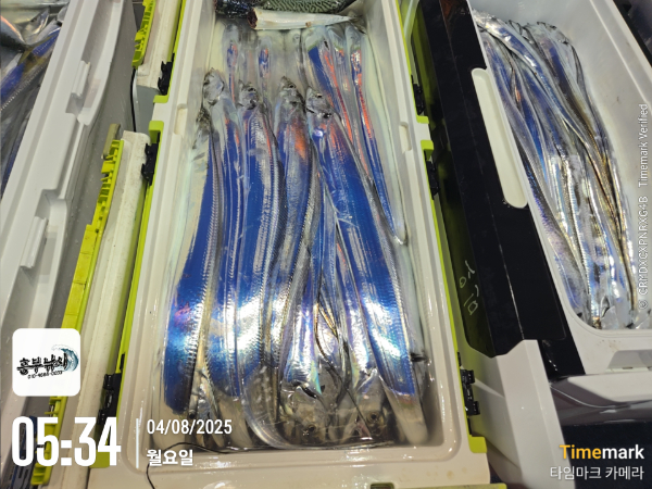 6db168cafa45ecfe9a6157996c0f3fdb.jpg
