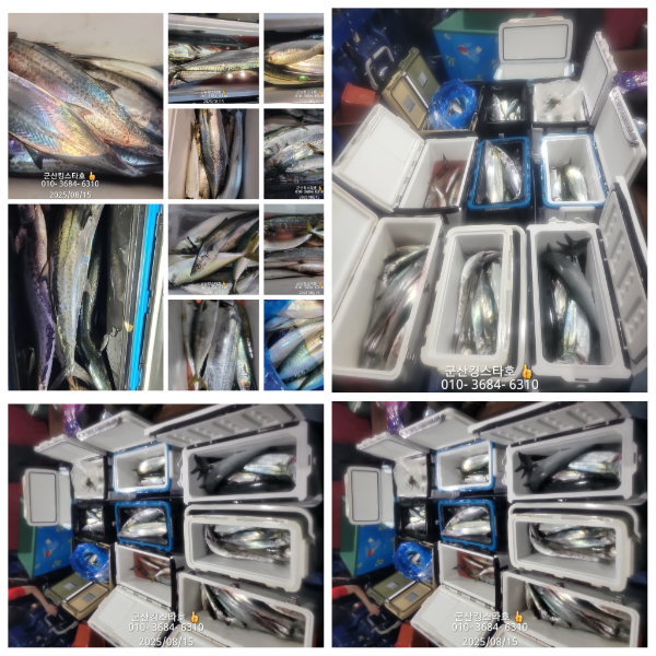 6e450aa05fc60ed88f1f0705f4c64c13.jpg
