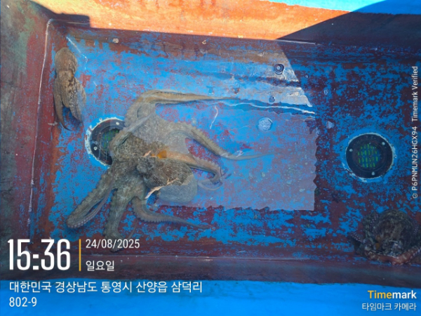 궁항레저_사진_20250829_5.jpg