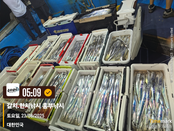2025-08-23 05.09.38_대한민국_(제목-갈치.한치낚시 흥부낚시).jpg