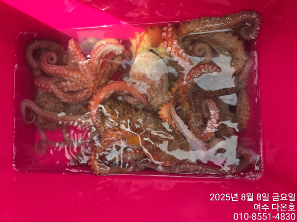 6e5a3fff88703b6813c972cc66272cf3.jpg