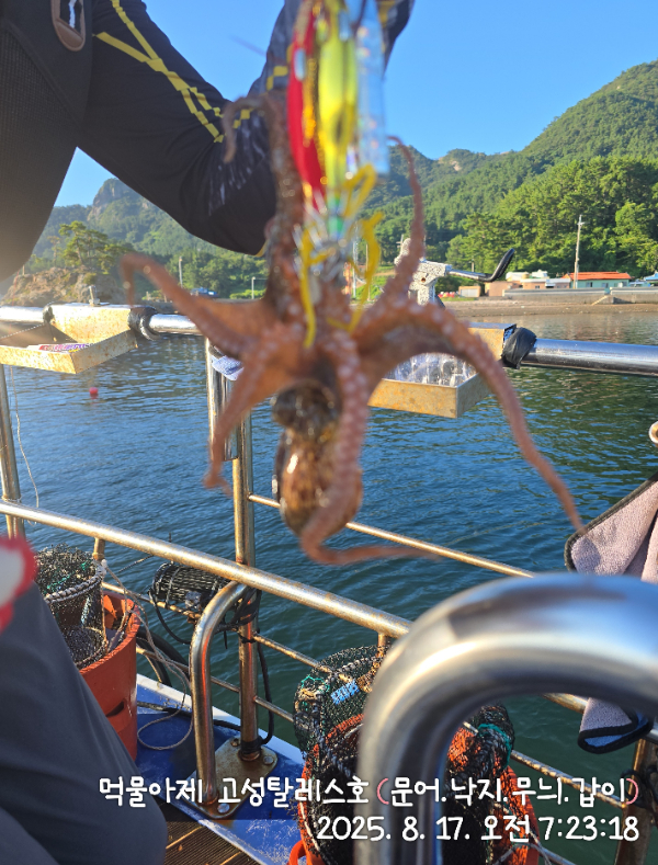 IMG_20250817_072318.jpg