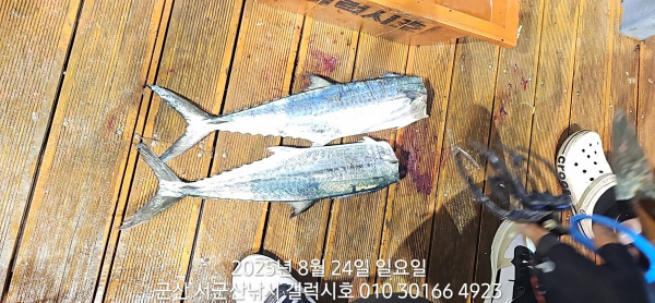 KakaoTalk_20250824_085534093_15.jpg
