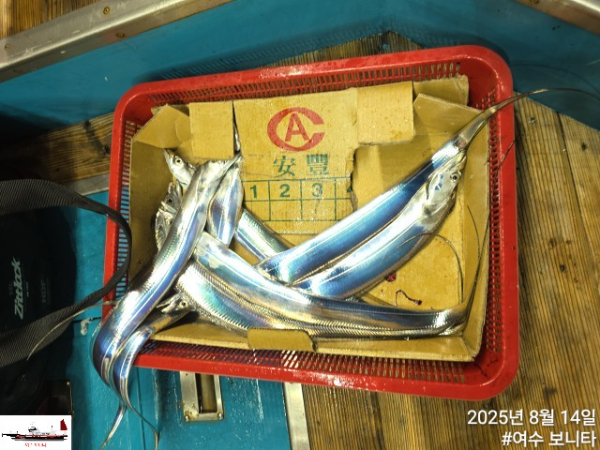 6eb42320d3cc3cf80463f585c9358748.jpg