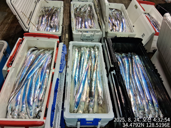6ec2facb8da651ec080c7135c4056fad.jpg