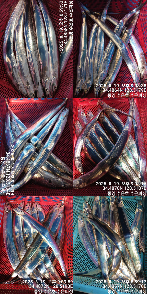 1755606044224-tile.jpg