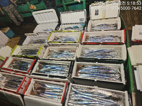 KakaoTalk_20250828_184111505_11.jpg