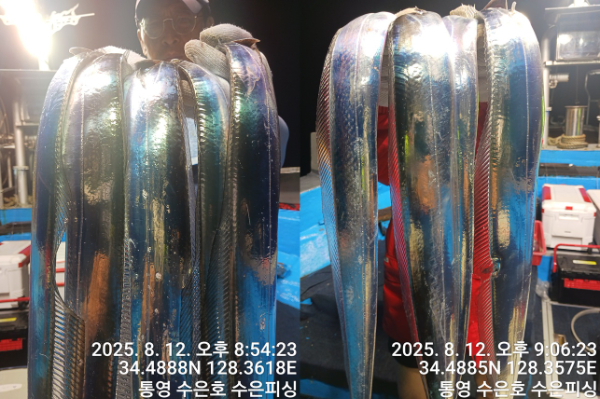 1755003692041-tile.jpg