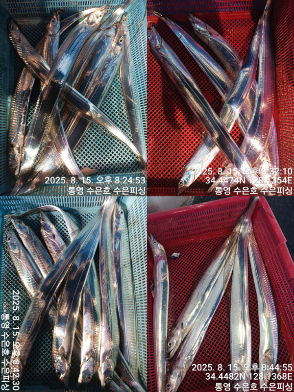 1755292325308-tile.jpg