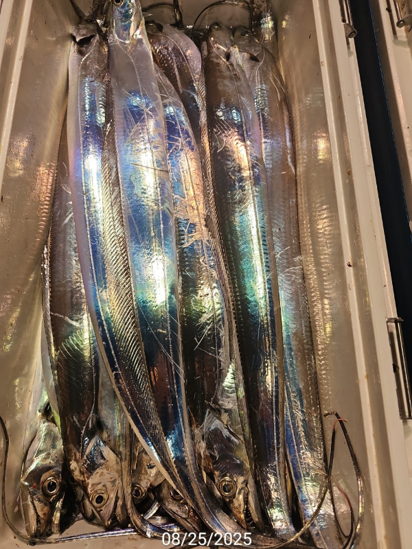 5F5C354F-8C5D-4639-9516-0C2600D22813.jpeg