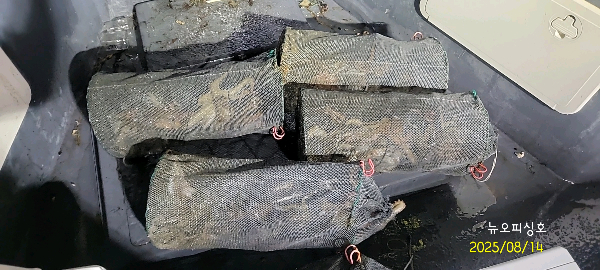 DateCamera0814051219.jpg