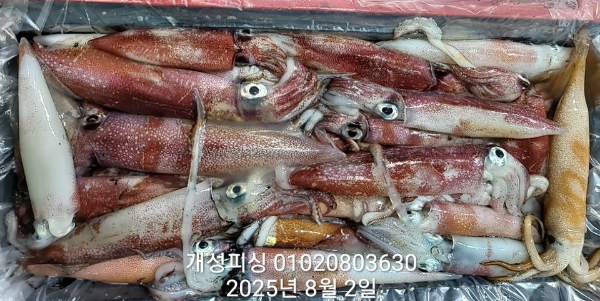 7150daa29d4d7cb8976bce1d8e47ad91.jpg