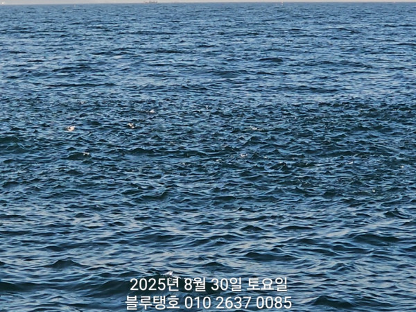 20250830_175150.jpg
