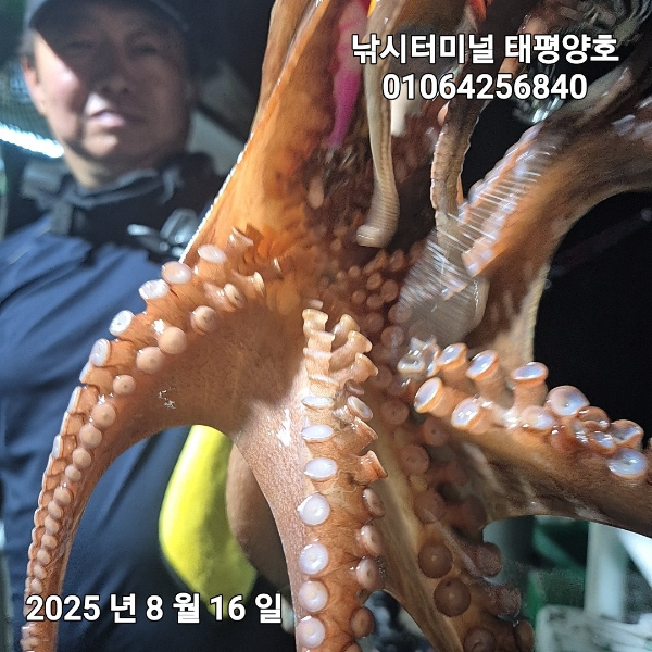 KakaoTalk_20250816_022629382_12.jpg