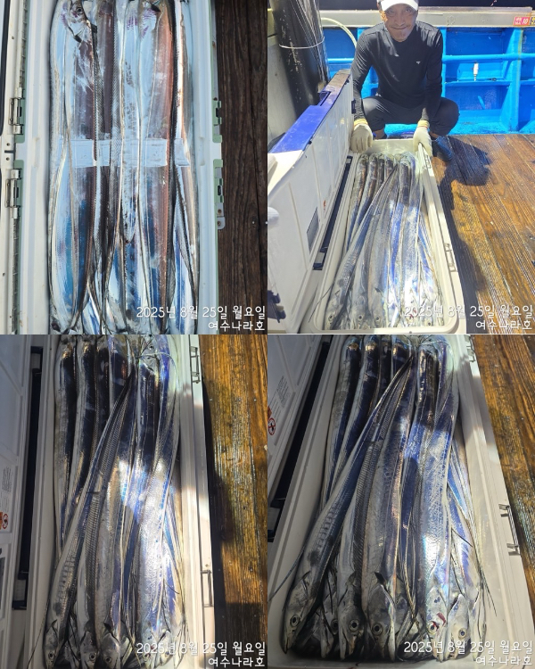 FF81A835-68EC-4E10-9802-2DCED5886423.jpeg