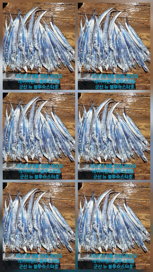 1000024138.jpg