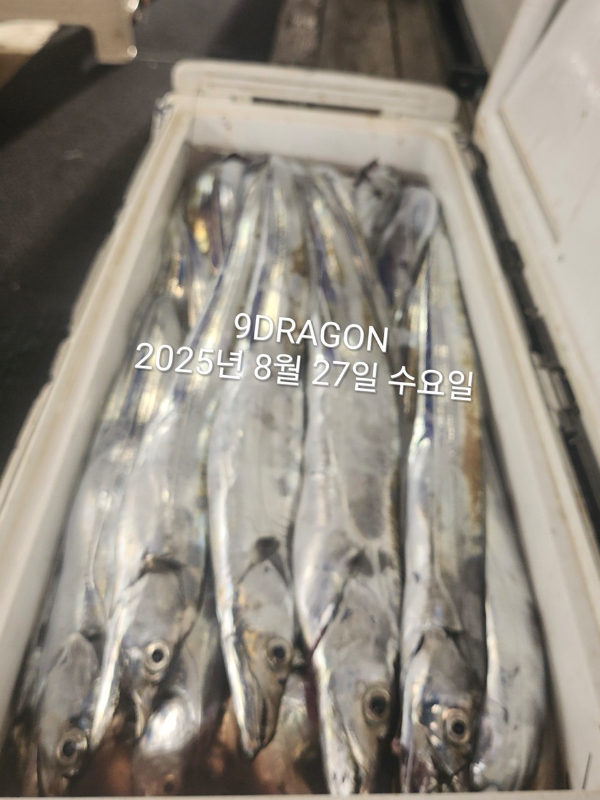 774AB69E-4B8A-4BEF-948E-14E2F927F9A6.jpeg