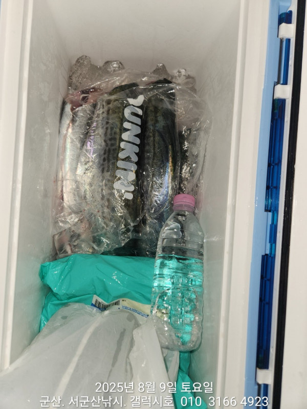군산 선상낚시, 바다낚시 출조 전문 ☆서군산낚시☆_사진_20250809_5.jpg