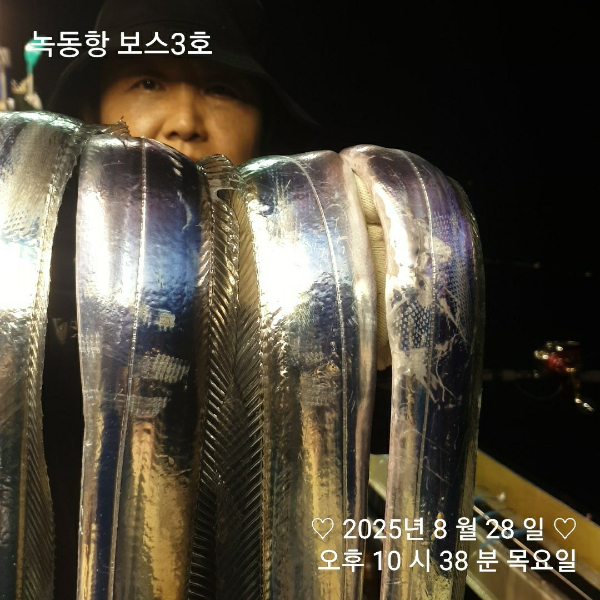 BandPhoto_2025_08_29_13_02_16.jpg