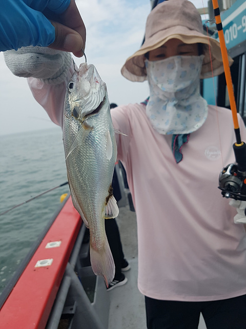 인천쭈꾸미낚시 (16).jpg