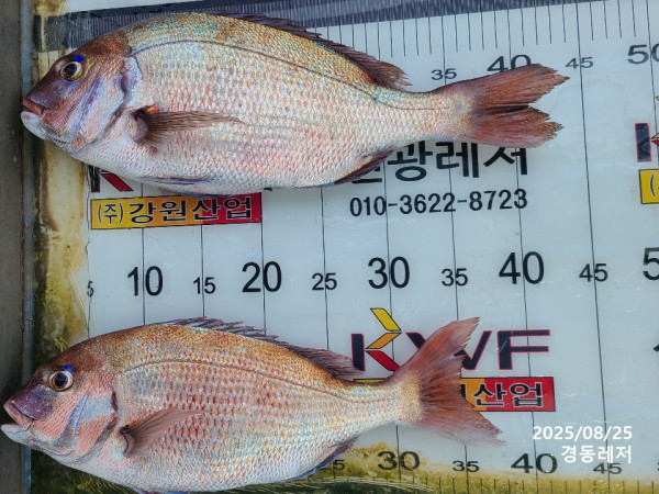 슬라이드0006.jpg
