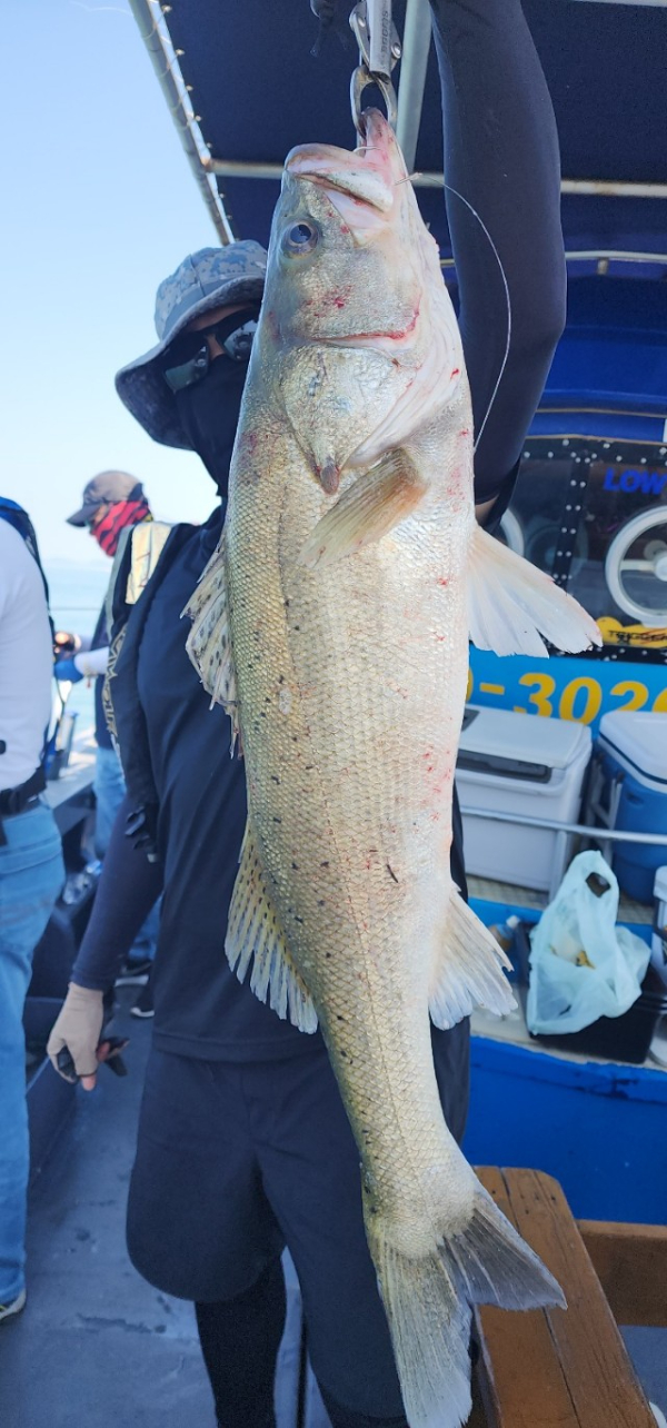 예지퀸호 농어외수질&어초낚시 경기인천권_사진_20250730_6.jpg