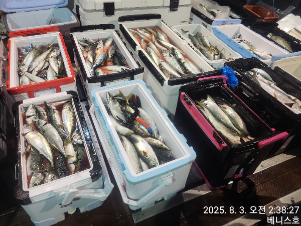 KakaoTalk_20250803_131711821_01.jpg