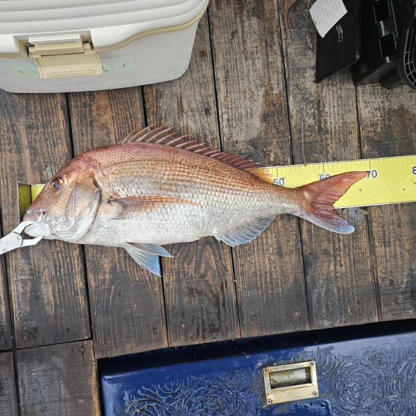 마검포 대한호(VIP)_사진_20250809_2.jpg