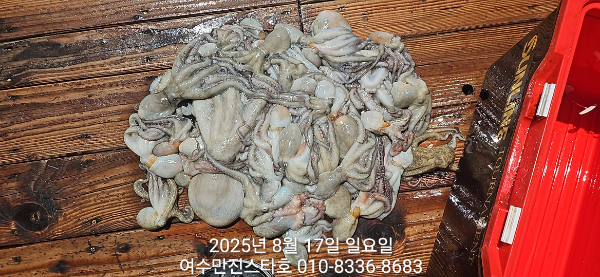 7544f2e72250e89a76d0166fa3ed0176.jpg