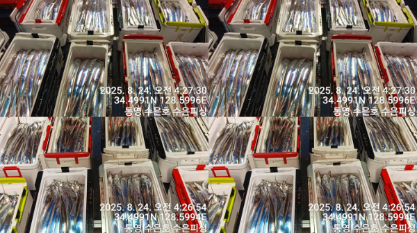 1755985129766-tile.jpg