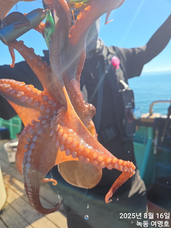 쎄븐피싱클럽(선상 버스출조전문)_사진_20250816_10.jpg