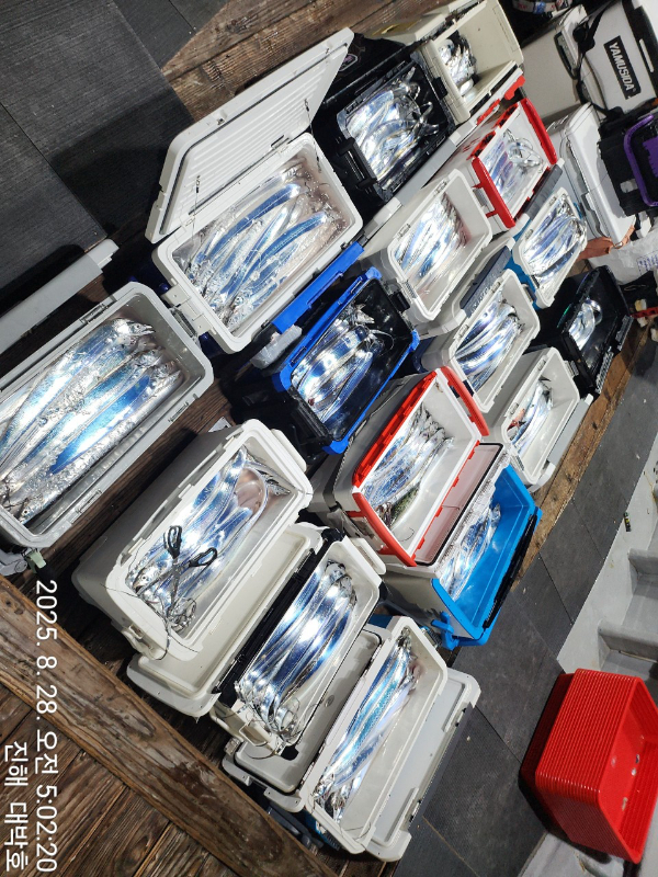 KakaoTalk_20250828_084528838_02.jpg