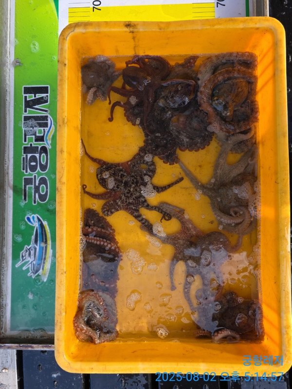 궁항레저_사진_20250802_1.jpg