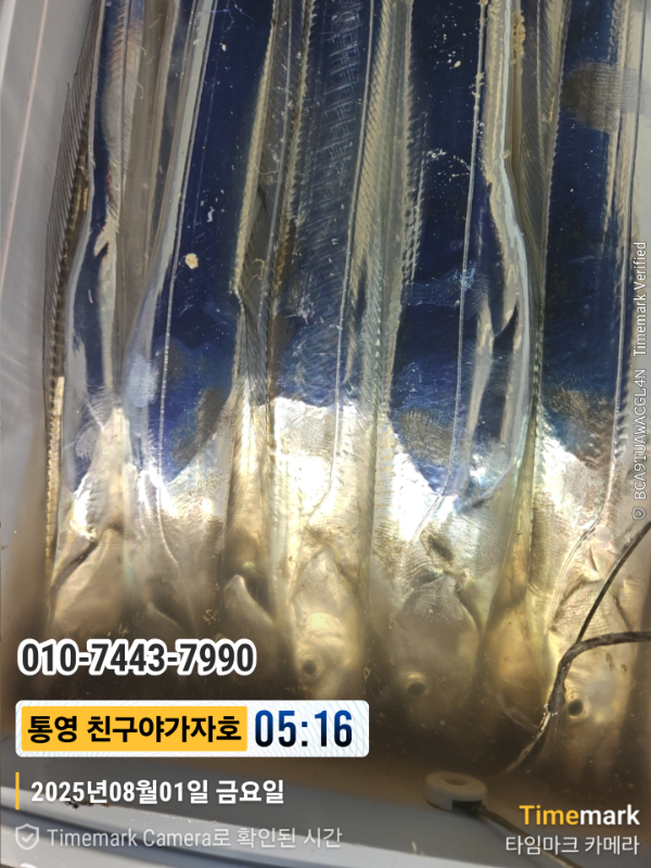 1000019912.jpg