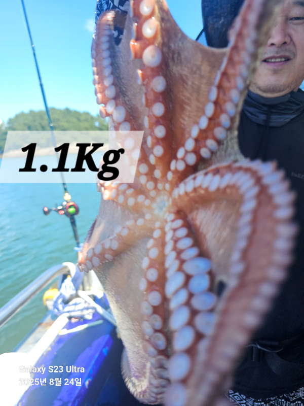 1000032714.jpg