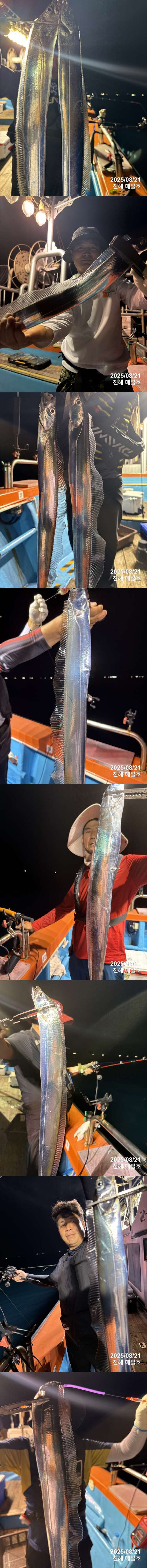 갈치1.jpg