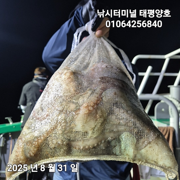 KakaoTalk_20250831_023919630.jpg