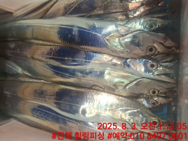 KakaoTalk_20250803_092159668_03.jpg
