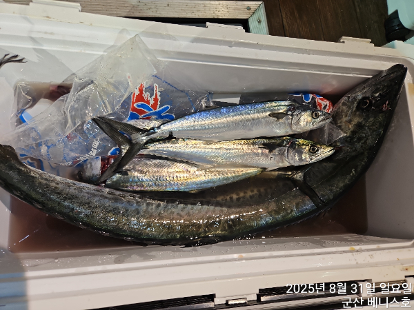 KakaoTalk_20250831_034722265_01.jpg