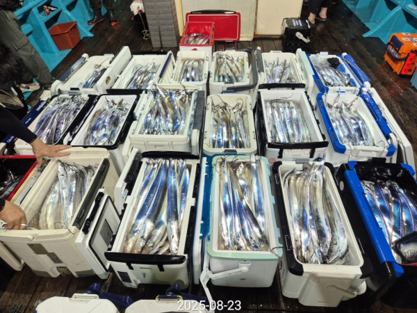 바다꾼낚시(신아라호)_사진_20250823_7.jpg