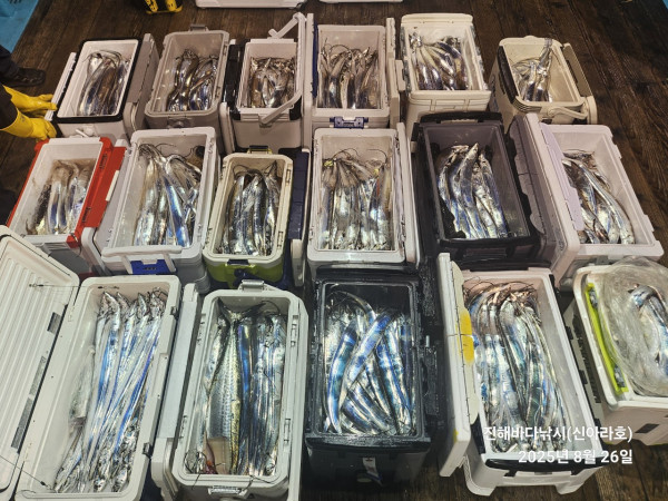 바다꾼낚시(신아라호)_사진_20250826_4.jpg