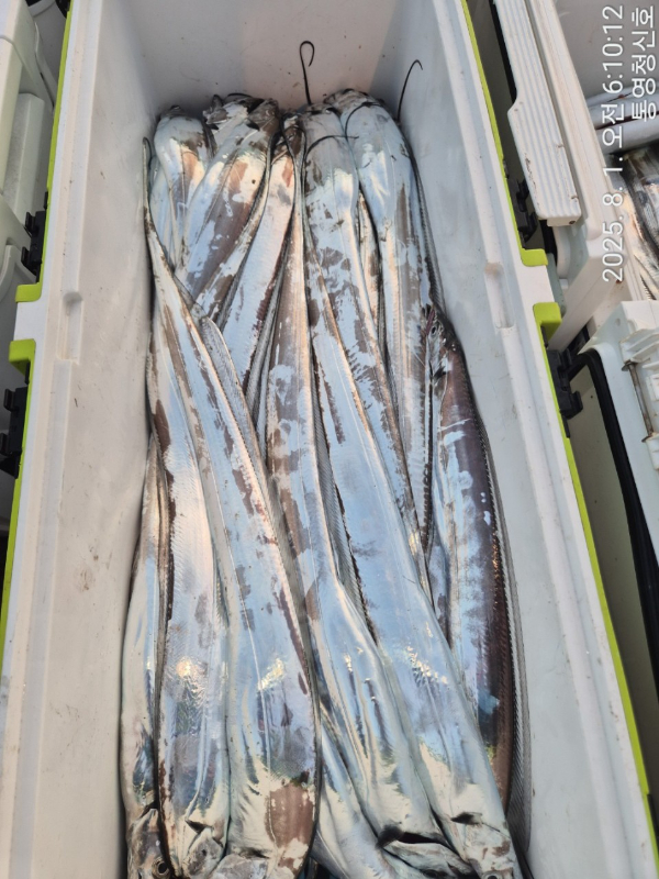 바다의 전설 부평25_사진_20250801_18.jpg