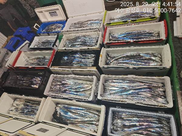 KakaoTalk_20250829_181212955_14.jpg