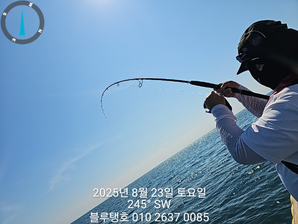 20250823_145517.jpg