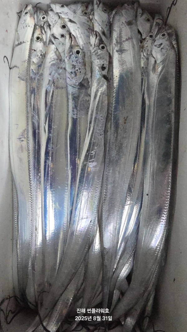 59746.jpg