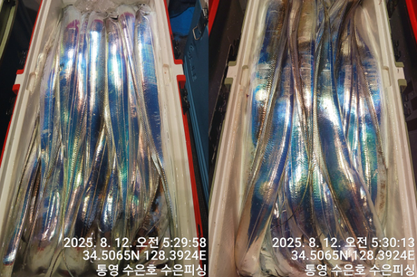 1754944852713-tile.jpg