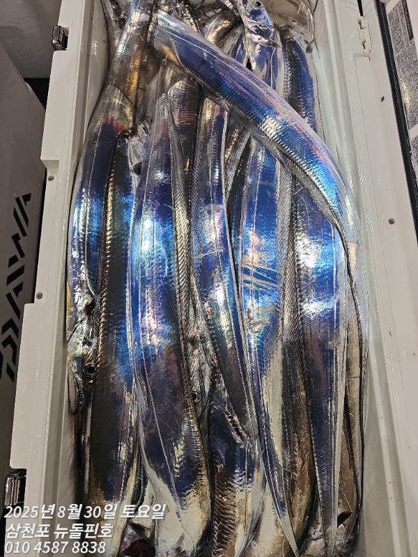 1000002451.jpg
