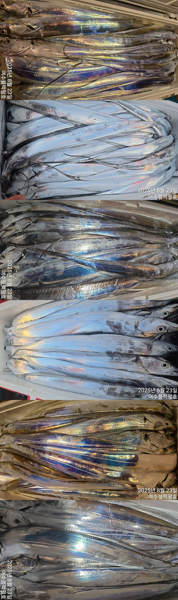 1755920053025.jpg