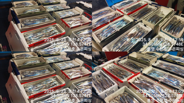 1755892093260-tile.jpg