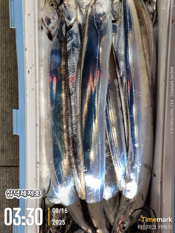 1000043895.jpg